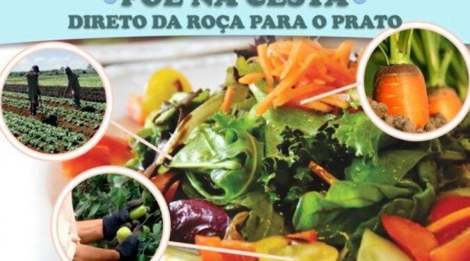 Agroindústria brasiliense ganha novo meio comercial