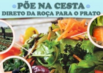 Agroindústria brasiliense ganha novo meio comercial