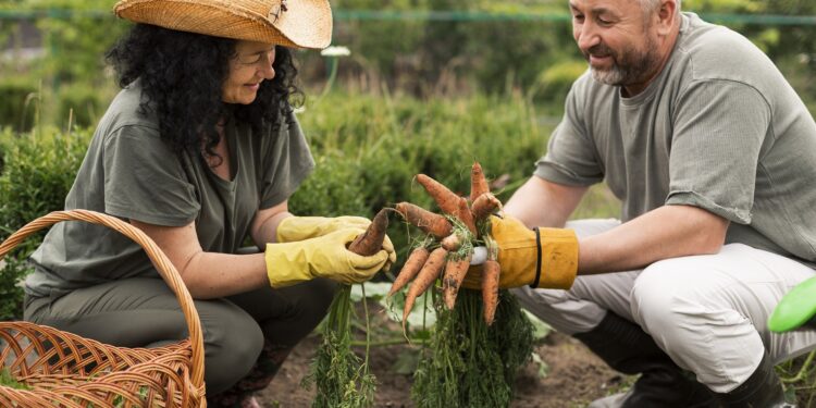 Cooperativas aumentam produtividade, renda e emprego na agricultura goiana
