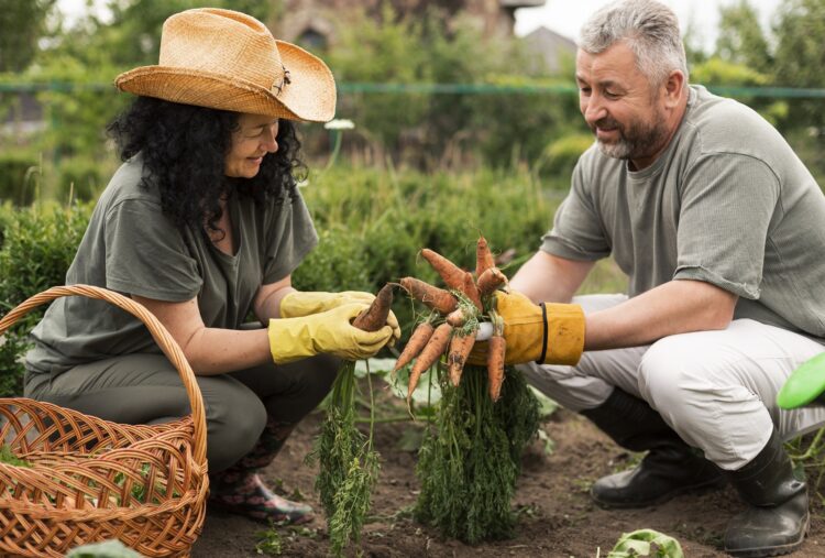 Cooperativas aumentam produtividade, renda e emprego na agricultura goiana