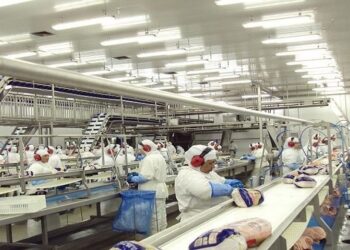 Indústria de Transformação de MS teve maior crescimento do país em 2018