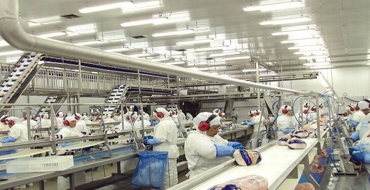 Indústria de Transformação de MS teve maior crescimento do país em 2018