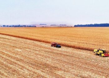 Operações do FCO contratadas por cooperativas em MS chegam a R$ 53,22 milhões