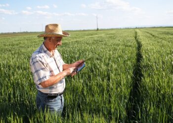 Produtores rurais poderão renegociar dívidas até a ultima semana de dezembro