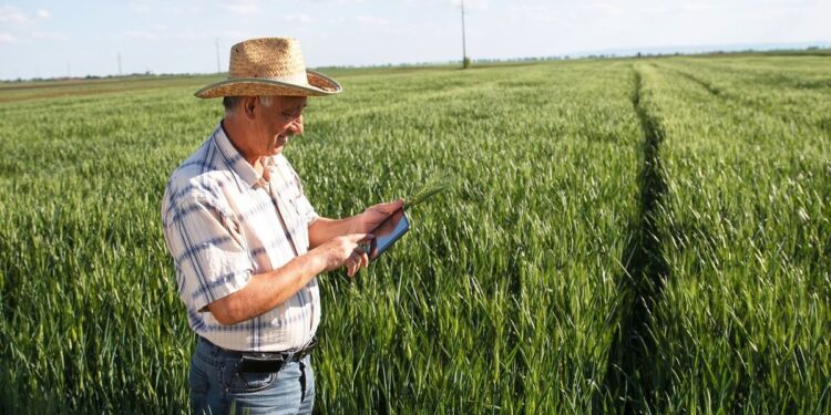 Produtores rurais poderão renegociar dívidas até a ultima semana de dezembro