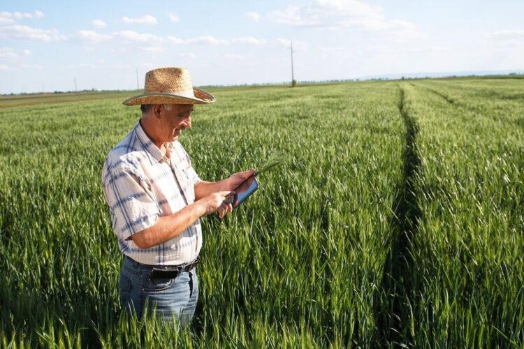 Produtores rurais poderão renegociar dívidas até a ultima semana de dezembro