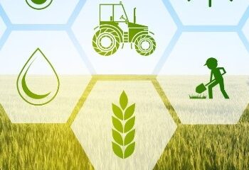 Projeto utiliza resíduo da produção de biodiesel para aumentar produtividade das lavouras