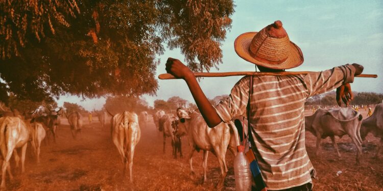 Senar-MT capacita profissionais para atuar no setor da pecuária