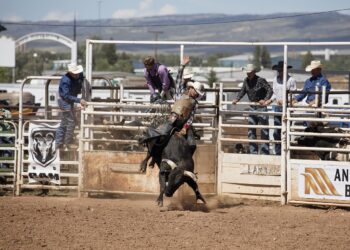 Sindicato Rural de Araguaína realiza primeiro rodeio virtual da história do Tocantins