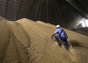 Conab: Brasil produzirá 265,9 milhões de toneladas de grãos em 2020/21