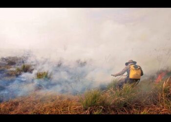 Mato Grosso do Sul pode ter R$ 222,5 milhões para preservar meio ambiente