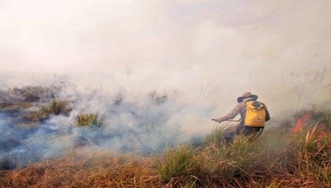 Mato Grosso do Sul pode ter R$ 222,5 milhões para preservar meio ambiente