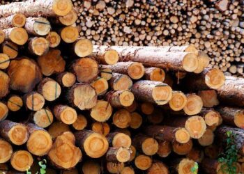 Indústrias mato-grossenses do setor de base florestal são premiadas no quesito sustentabilidade