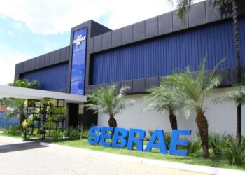 Sebrae no DF celebra resultados alcançados em meio à pandemia