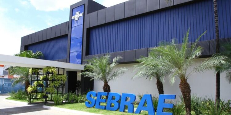 Sebrae no DF celebra resultados alcançados em meio à pandemia