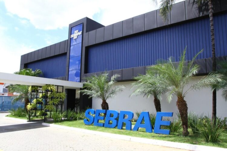 Sebrae no DF celebra resultados alcançados em meio à pandemia