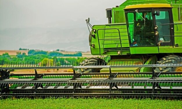 Valor da produção de MT supera o próprio recorde e aumenta 29%