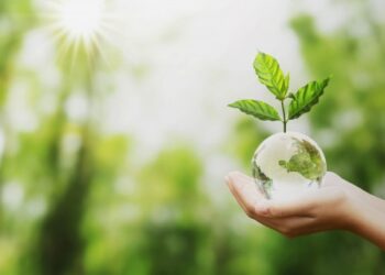 A triste retrospectiva ambiental de 2020