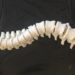 Laboratório goiano trabalha com réplica 3D que revoluciona cirurgias de coluna