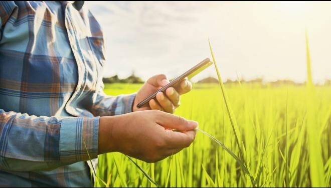 Apenas 23% dos produtores rurais usam internet na produção agrícola