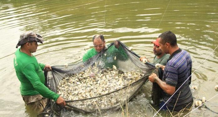 Aquicultores cessionários devem enviar relatório anual de produção até 31 de março