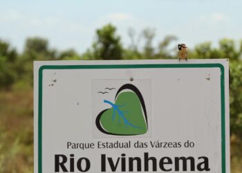 BNDES prepara a privatização de cinco parques em MS