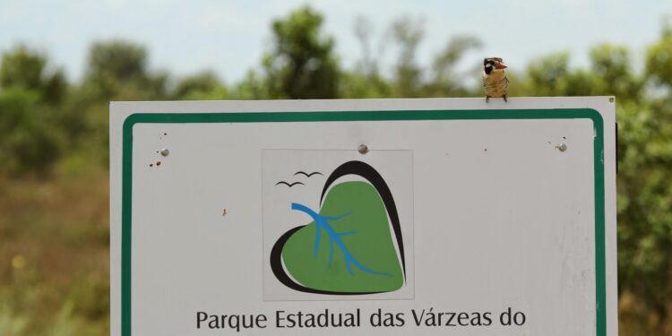 BNDES prepara a privatização de cinco parques em MS