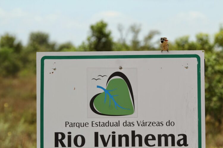 BNDES prepara a privatização de cinco parques em MS