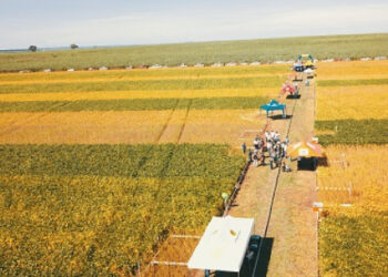 Coapa realizará XI Jornada Tecnológica em formato virtual