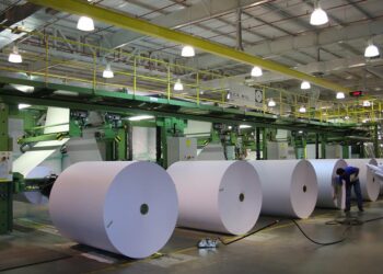 Com celulose e frigoríficos, exportações da indústria de MS batem recorde em 2020