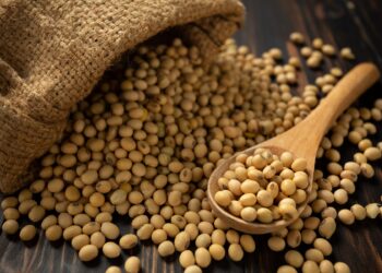 Com expectativa de produzir 11,5 milhões de toneladas, produtores de MS encerram plantio da soja