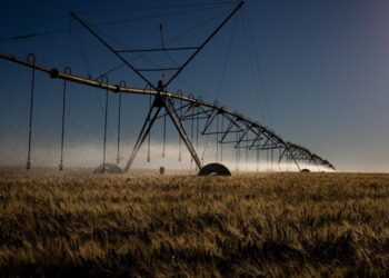 Decreto institui sistema que verifica emissões de carbono no agro
