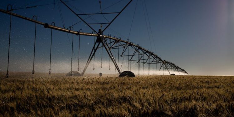 Decreto institui sistema que verifica emissões de carbono no agro