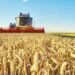 Divulgado calendário de levantamento das safras agrícolas e do mercado hortigranjeiro