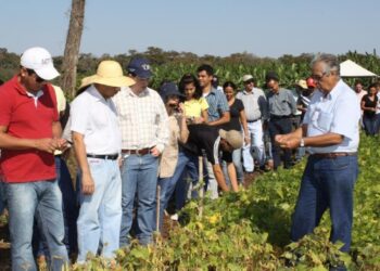 Empaer viabiliza R$ 82 milhões em projetos de crédito para agricultura familiar