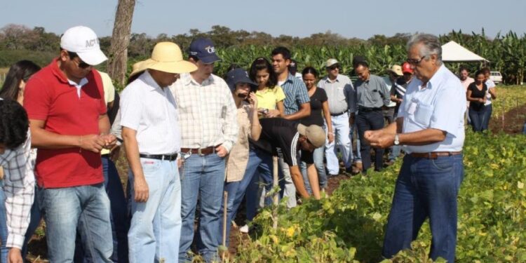 Empaer viabiliza R$ 82 milhões em projetos de crédito para agricultura familiar