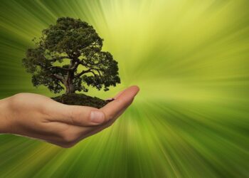 Inscrições para o 3º Mapa de Negócios de Impacto Socioambiental estão abertas