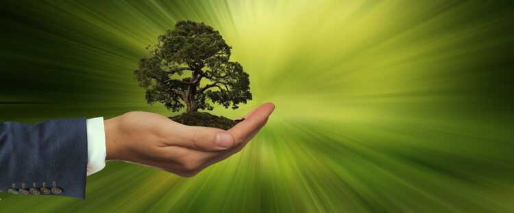 Inscrições para o 3º Mapa de Negócios de Impacto Socioambiental estão abertas