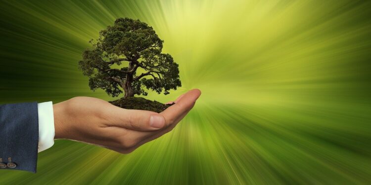 Inscrições para o 3º Mapa de Negócios de Impacto Socioambiental estão abertas