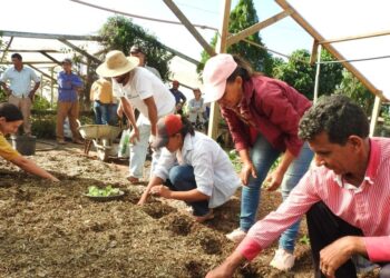 Projeto apoia rede de produção orgânica na Amazônia mato-grossense