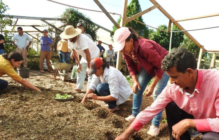 Projeto apoia rede de produção orgânica na Amazônia mato-grossense