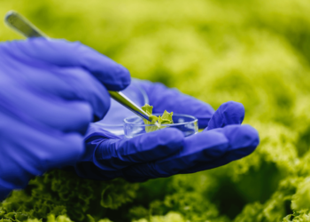 Utilização de bioinsumos cresce em Mato Grosso e regulamentação deve ser debatida