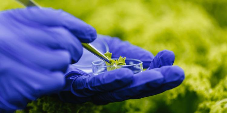 Utilização de bioinsumos cresce em Mato Grosso e regulamentação deve ser debatida