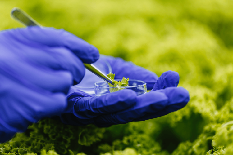Utilização de bioinsumos cresce em Mato Grosso e regulamentação deve ser debatida