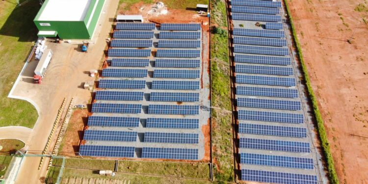 ReGra: Maior distribuidora ABInBev do Brasil investe em energia solar