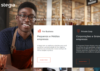 Com sede em Goiânia, Stegia tem 19 vagas para trabalho remoto abertas