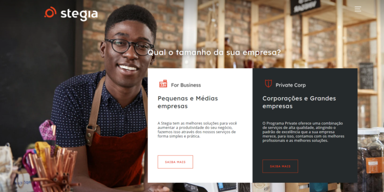 Com sede em Goiânia, Stegia tem 19 vagas para trabalho remoto abertas