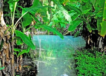 Ecoturismo no Tocantins abre as portas para o Carnaval sem folia