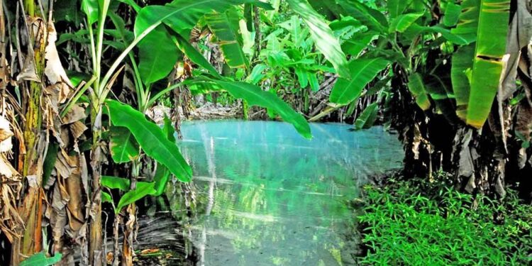 Ecoturismo no Tocantins abre as portas para o Carnaval sem folia