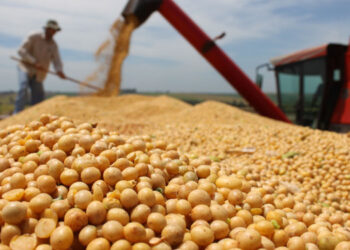 Frete sobe em Mato Grosso com nova safra